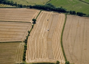 «إيكونومست»: الجفاف يضع المزارعين البريطانيين في مأزق كبير