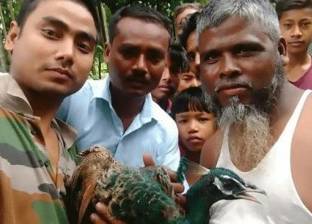 هوس "السيلفي" يقتل طاووسا في الهند