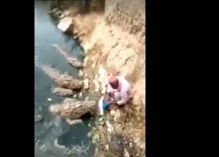بالفيديو| رجل يطعم تماسيح ضخمة دون أي حماية