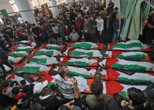 أمين الفتوى بدار الإفتاء: علينا تكثيف الدعاء من أجل غزة