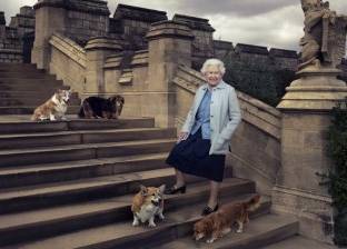 سبب محزن لقرار الملكة "إليزابيث" بعدم تكاثر كلاب "كورجي"