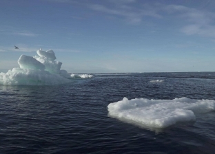 شدة الحرارة تذيب صفيحة الجليد في جرينلاند وتثير قلق العلماء