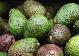 7 فوائد مذهلة لفاكهة الأفوكادو.. يعالج السرطان ويحسن صحة القلب