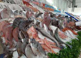 24 ساعة اقتصاد.. 8 أسماك سامة في السوق وزيادة الأجهزة الكهربائية