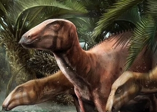 العثور على كنز مدفون منذ 80 مليون عام.. ديناصورات نادرة وزواحف طائرة