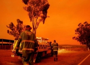 أستراليا تعلن فقدان الاتصال بطائرة كبيرة لمكافحة إطفاء الحرائق