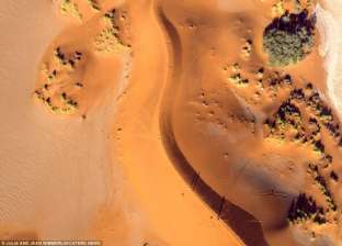 بالفيديو| "الكثبان الرملية" في ناميبيا.. مناطق سياحية على السهل الإفريقي