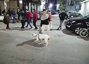 حدث فى المنيا: شباب يستخدمون الكلاب فى التحرش بالبنات