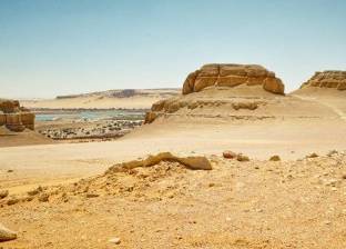 38 مليون للمشروعات الاستثمارية بـ12 محمية طبيعية في سيناء