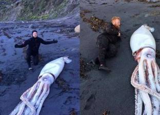 بالصور| العثور على  كائن بحري "وحشي" على شاطئ نيوزيلندا