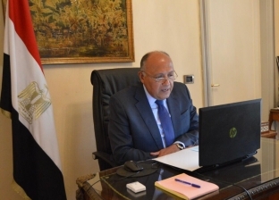 وزير الخارجية: رؤية استراتيجية لمصر في التعامل مع قضية الهجرة