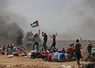 "المنظمة العربية": تخاذل العالم تجاه فلسطين مقدمة لفناء الأمم المتحدة