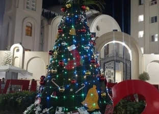 لأول مرة.. ميادين المنيا تتزين بأشجار الكريسماس: عيد سعيد