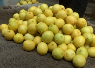 "الفلاحين": انخفاض أسعار الليمون 50%.. والكيلو بـ20 جنيها في المزارع