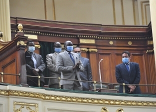 وزير الري السوداني يحضر جلسة مجلس النواب من «شرفة الضيوف»