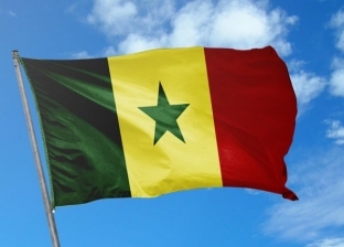 قوة وتضحية وعشق للإسلام.. دلالات ألوان علم السنغال