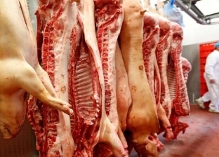 بينها "الحمى والطفح الجلدي".. تعرف على أضرار تناول لحم الخنزير