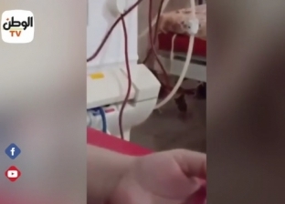 فيديو يرصد قطط في غرفة غسيل الكلى بمستشفى الشاملة بشبين القناطر