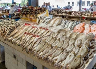 «الصحة» تكشف عن فوائد تناول الأسماك.. تحارب التهاب المفاصل