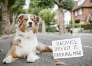 بالصور| آخرها "مظاهرة الكلاب" في بريطانيا.. أغرب 5 احتجاجات حول العالم