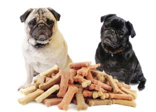 عيادة بيطرية تنصح بـ"بسكويت الـ10 دقايق" لتغذية الكلاب والترفيه عنها في "الحجر الصحي"