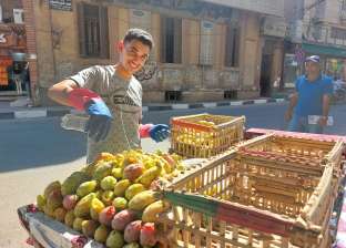 التين الشوكي.. فاكهة الصيف الشعبية تغزو شوارع الأقصر