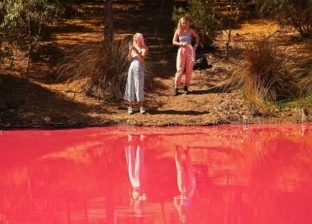 بالصور| بحيرة أسترالية تتحول إلى اللون "الوردي".. والسر في "الطحالب"