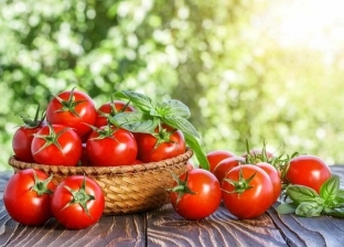 أسعار الطماطم والخضروات اليوم الخميس الموافق 7 أبريل 2022