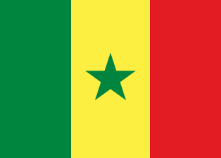 بعد إصابة 222 حالة.. السنغال تمدد حالة الطوارئ لمواجهة كورونا