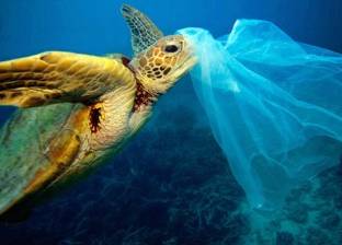 تحذير أممي من زيادة استهلاك الأكياس البلاستيك: بلغت 5 آلاف مليار