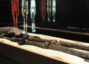 قصة وفاة 6 علماء بعد اكتشاف مقبرة الملك توت وبداية أسطورة لعنة الفراعنة