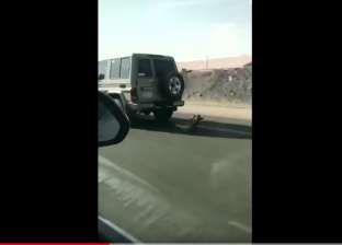 بالفيديو| سائق سيارة يجر كلبا على الإسفلت بـ"طريقة وحشية"