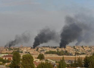 محققة أممية سابقة: يجب محاسبة أردوغان على ارتكاب جرائم حرب بسوريا