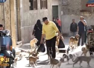 بالفيديو| "عم عاطف" يطعم كلاب الشوارع.. و"إن ماتت ياخذ عزاها"