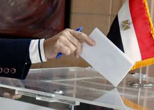 حزب الوفد يناشد المصريين في الخارج المشاركة في الانتخابات الرئاسية