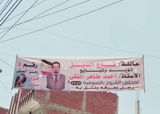 "علم مصر" بالمقلوب.. دعاية انتخابية لمرشح تثير الجدل في المنوفية