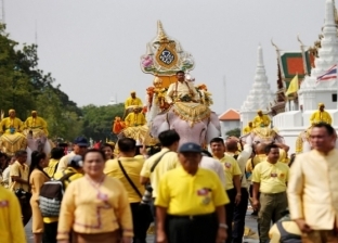 بالفديو| 11 فيل أبيض يحضرون حفل تتويج ملك تايلاند 