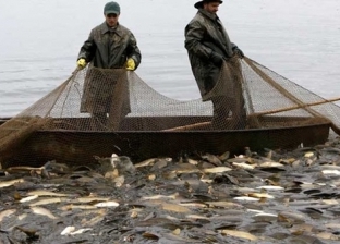 القصة الكاملة لتسميم أسماك النيل.. شقيقان يستخدمان الكيماويات لصيدها