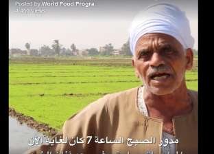 بالفيديو| "الأغذية العالمي" لـ"مزارعي مصر": المناخ يتغير.. اعتدلوا