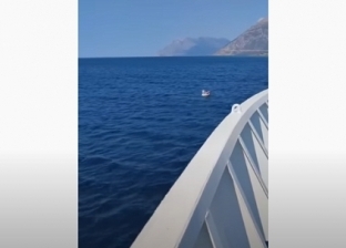 فيديو صادم للحظة إنقاذ طفلة تائهة في عرض البحر على بالون سباحة