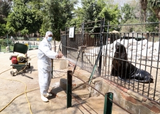 حديقة الحيوان تكشف عن خطتها لاستقبال الزوار في يوليو المقبل
