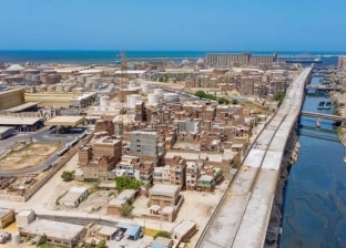 تداول 222 ألف طن بضائع استراتيجية في ميناء الإسكندرية خلال 48 ساعة