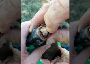بالصور| فتاة تصطاد سمكة غريبة لها "أسنان إنسان"