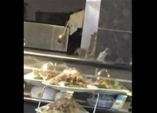 بالفيديو| فئران تتجول بين أطعمة أحد المطاعم وتأكل منها