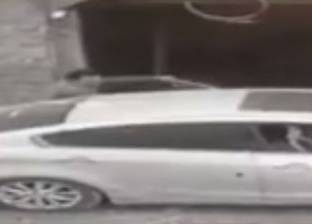 بالفيديو| عصابة تسرق بقرة وتخفيها في سيارة ملاكي بكفر الزيات