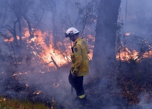 مصرع رجالي إطفاء وإصابة 3 بسبب حرائق الغابات في أستراليا