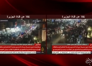 أديب يعرض زيف قناة الجزيرة في إدعاء وجود مظاهرات في مصر