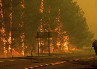 دراسة حديثة: حرائق الغابات تسببت فى ارتفاع إصابات ووفيات كورونا