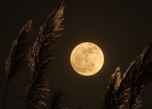 القمر يكتمل بدرا في سماء مصر الليلة.. «التوقيت مثالي للرصد والتصوير»