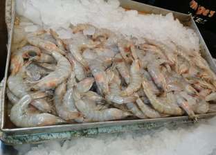 غرائب البحر في سوق الأسماك بالسويس: جمبري «أزاز» وبلح بحر أسود